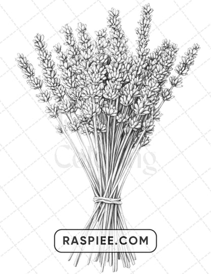 77 Flower Tattoos Adult Coloring Pages - RASPIEE