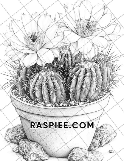 Succulent Blossoms Adult Coloring Pages Printable PDF Instant Download