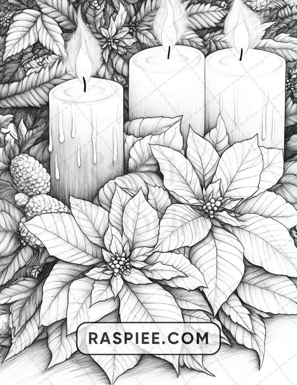 77 Winter Flowers Adult Coloring Pages