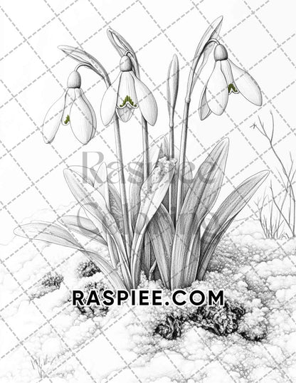 Seasonal Flowers Adult Coloring Pages Printable PDF Instant Download