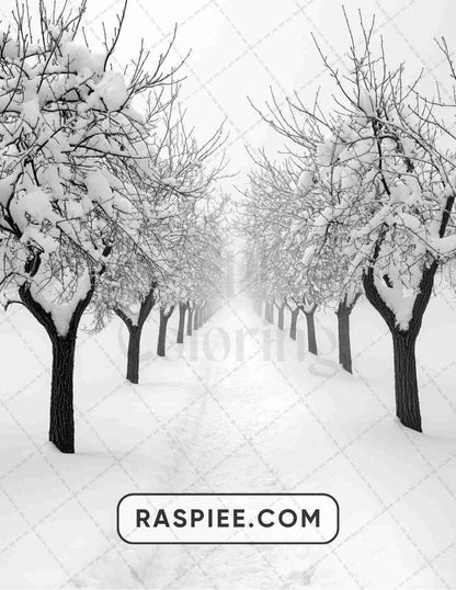 82 Winter Landscapes Adult Coloring Pages - RASPIEE