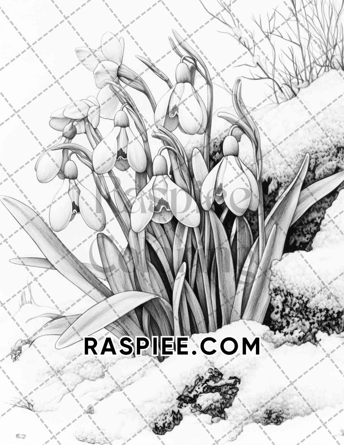 Seasonal Flowers Adult Coloring Pages Printable PDF Instant Download