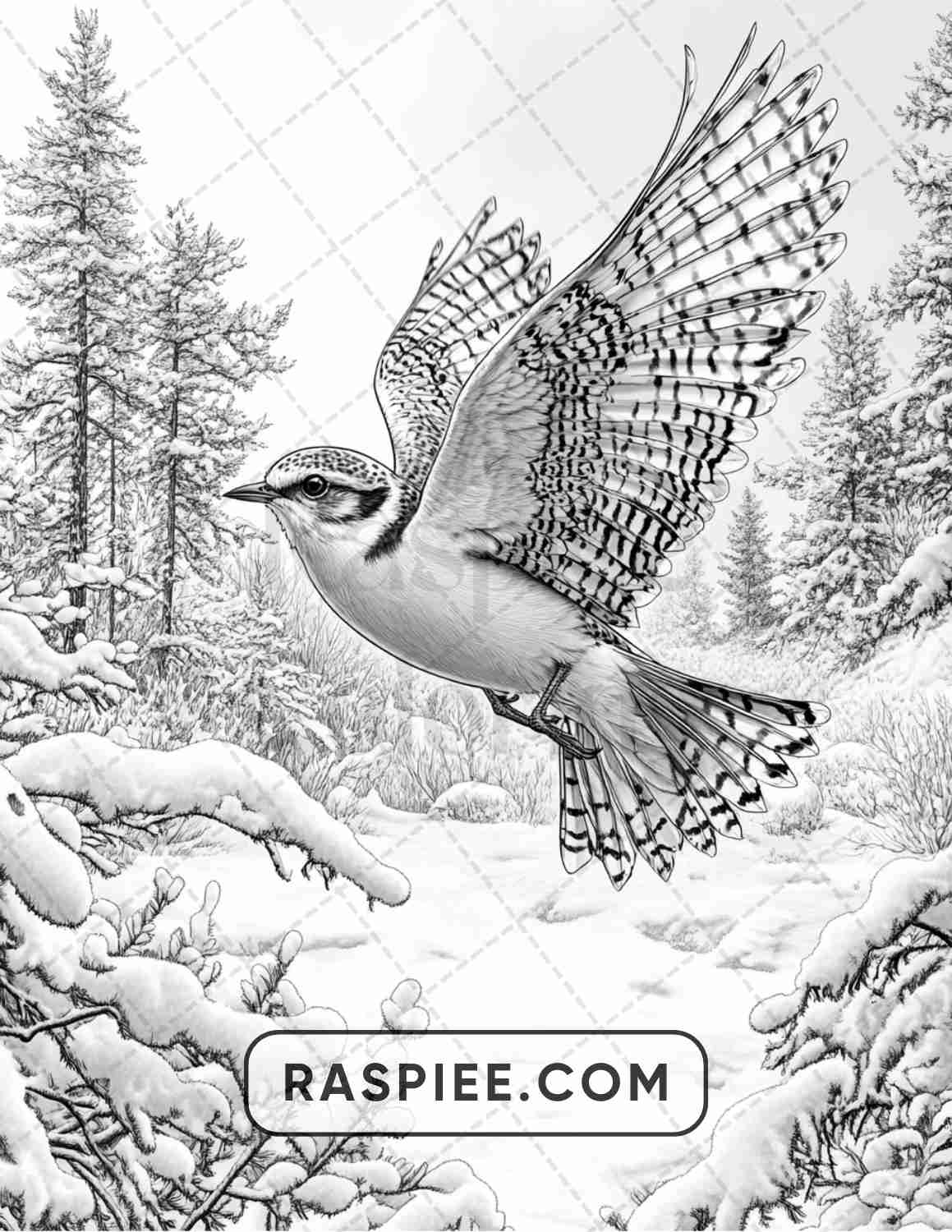 86 Winter Animals Adult Coloring Pages