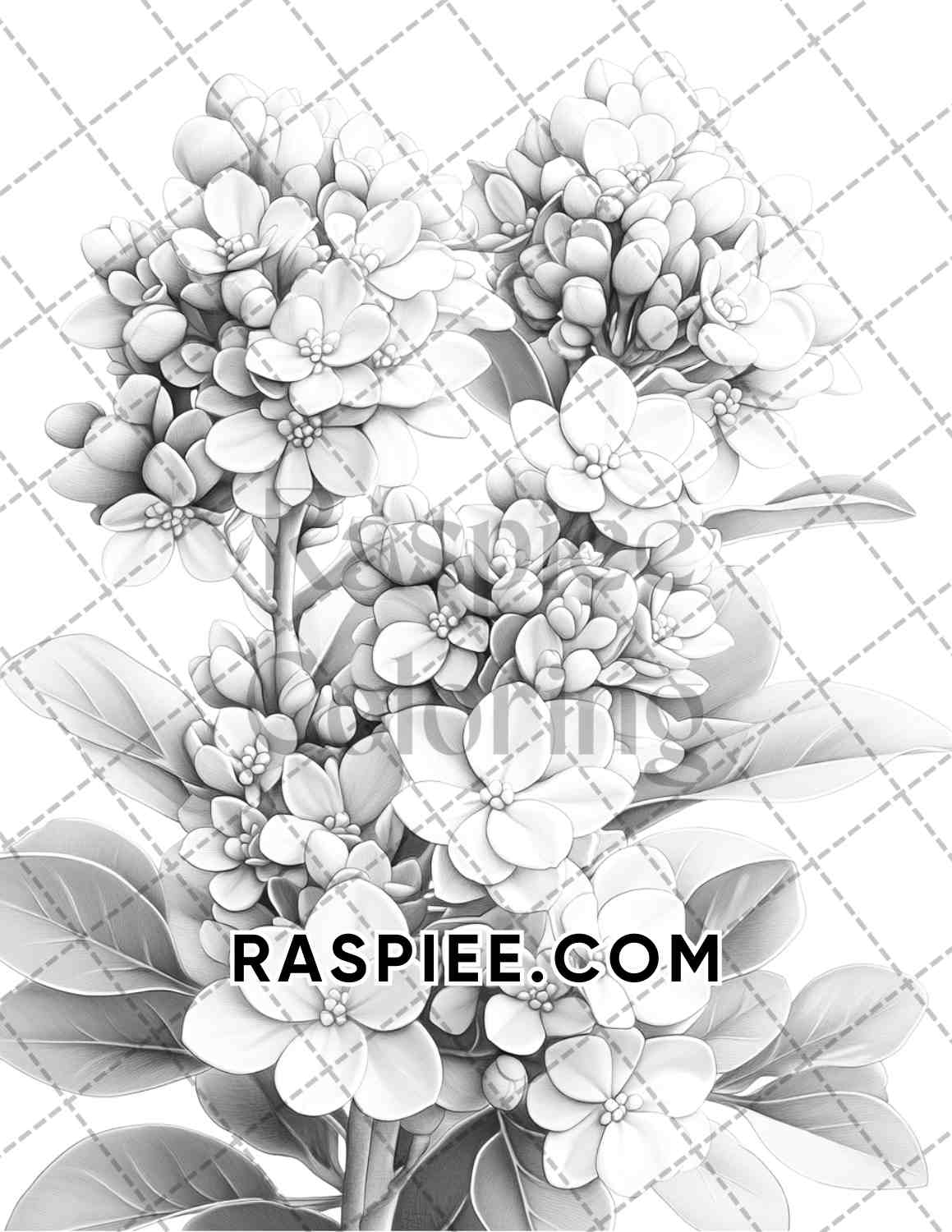 Succulent Blossoms Adult Coloring Pages Printable PDF Instant Download