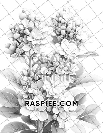 Succulent Blossoms Adult Coloring Pages Printable PDF Instant Download