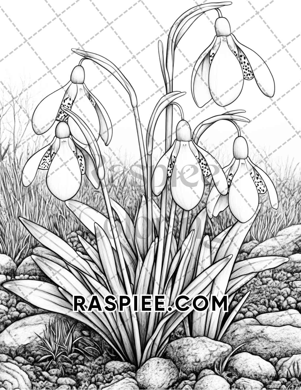 Seasonal Flowers Adult Coloring Pages Printable PDF Instant Download