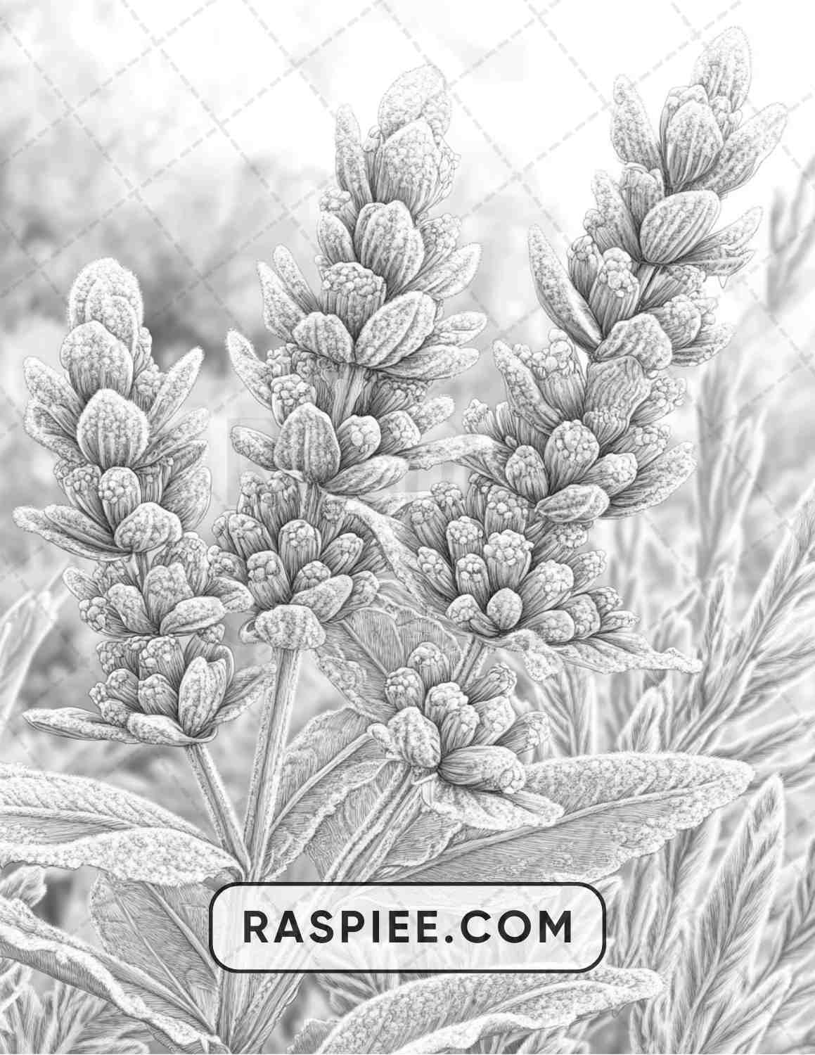 77 Winter Flowers Adult Coloring Pages