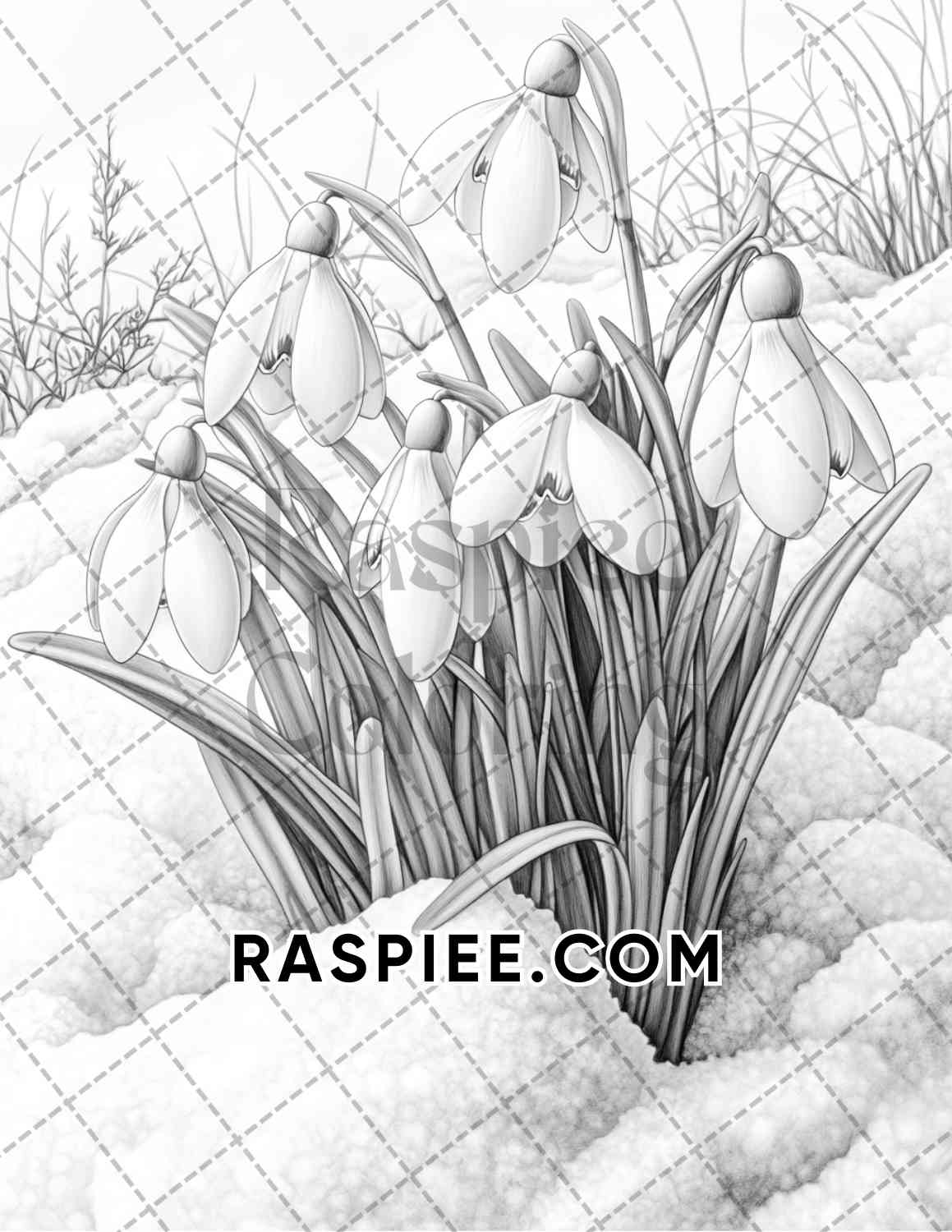 Seasonal Flowers Adult Coloring Pages Printable PDF Instant Download