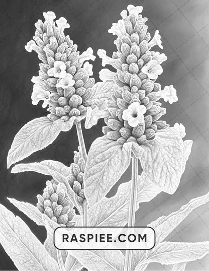 77 Winter Flowers Adult Coloring Pages