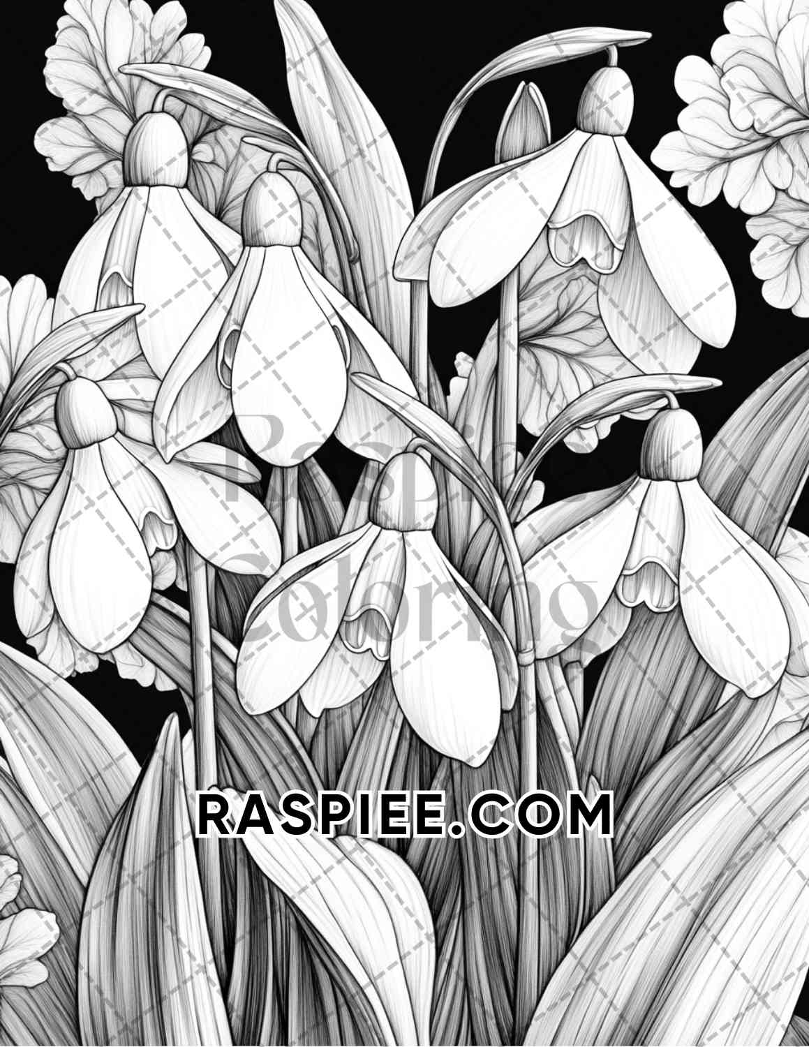 Seasonal Flowers Adult Coloring Pages Printable PDF Instant Download