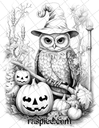 Halloween Witch Owl Grayscale Coloring Pages for Adults and Kids, Prin ...