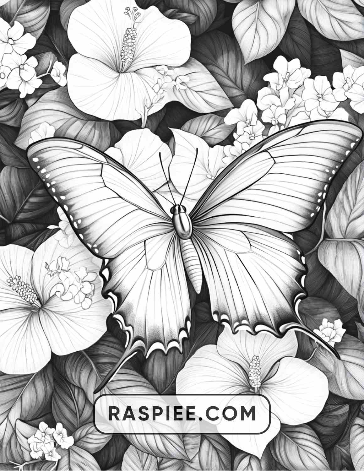 Insects and Flowers Adult Coloring Pages - RASPIEE