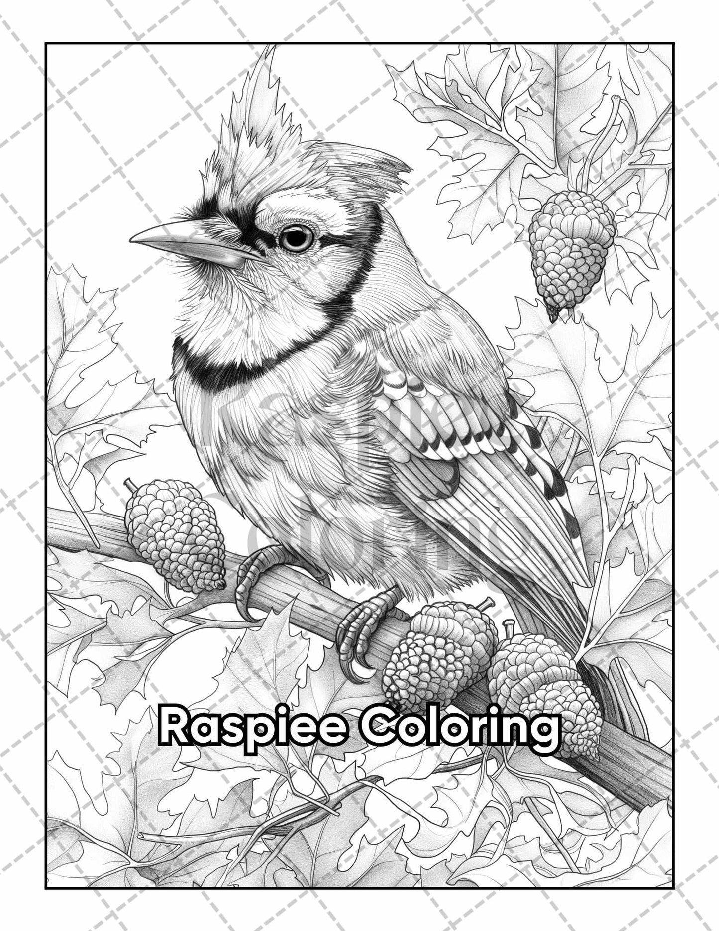 50 Beautiful Birds Adult Coloring Pages Printable PDF Instant Download