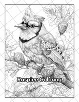50 Beautiful Birds Adult Coloring Pages Printable PDF Instant Download ...