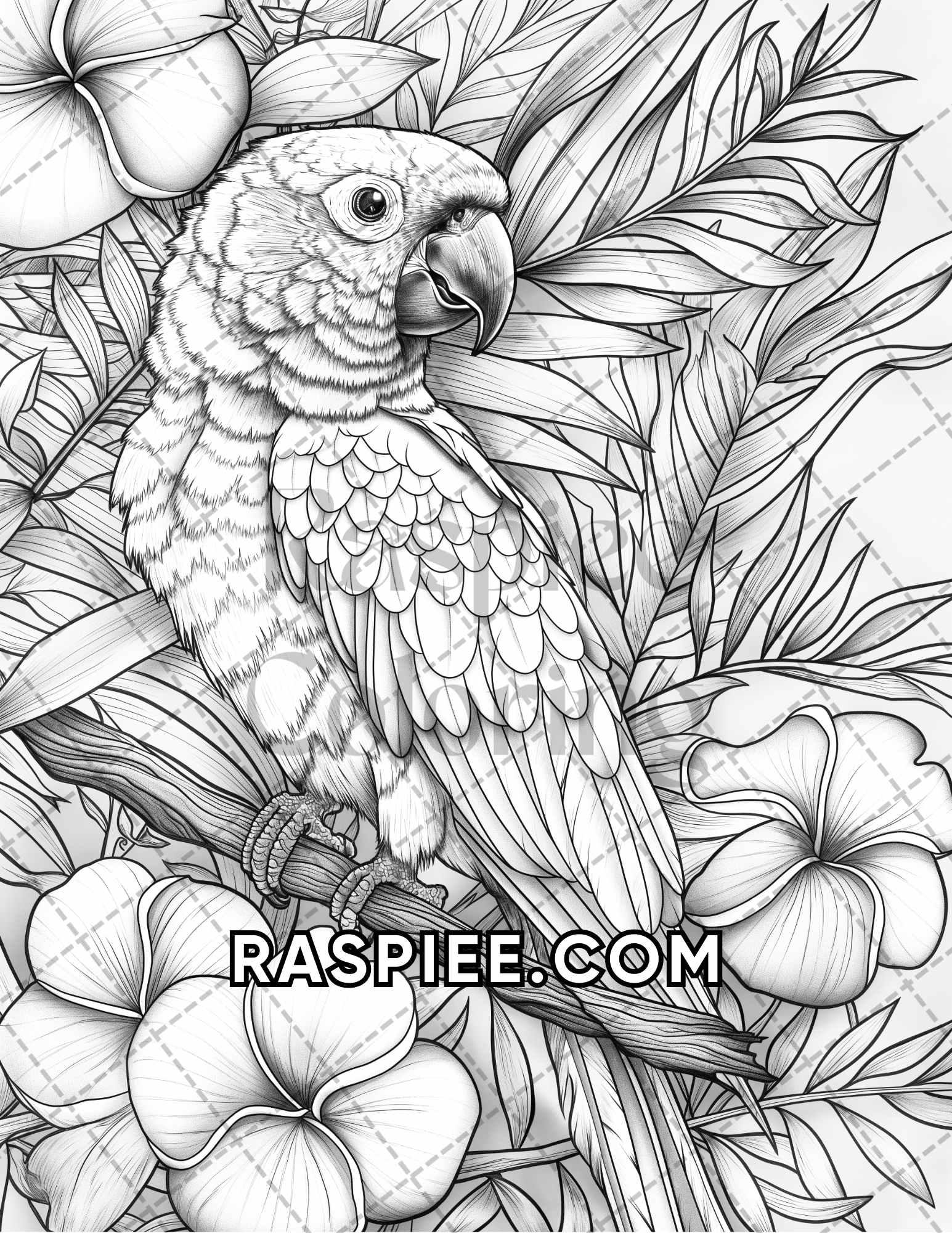 Detailed Coloring Pages