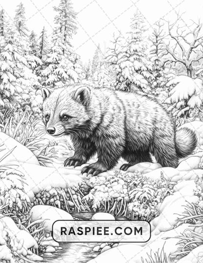 86 Winter Animals Adult Coloring Pages