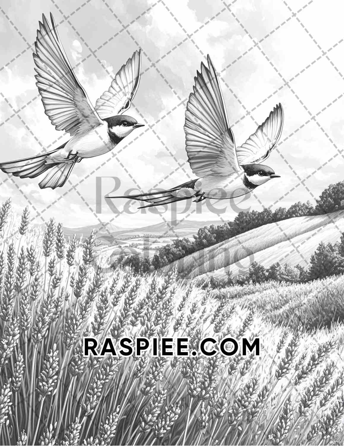 Flowers and Birds Adult Coloring Pages Printable PDF Instant Download - RASPIEE