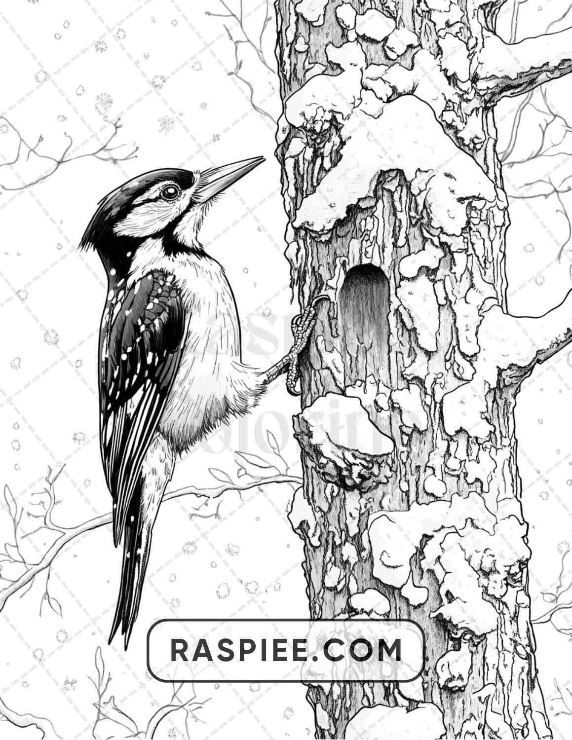 80 Winter Birds Adult Coloring Pages