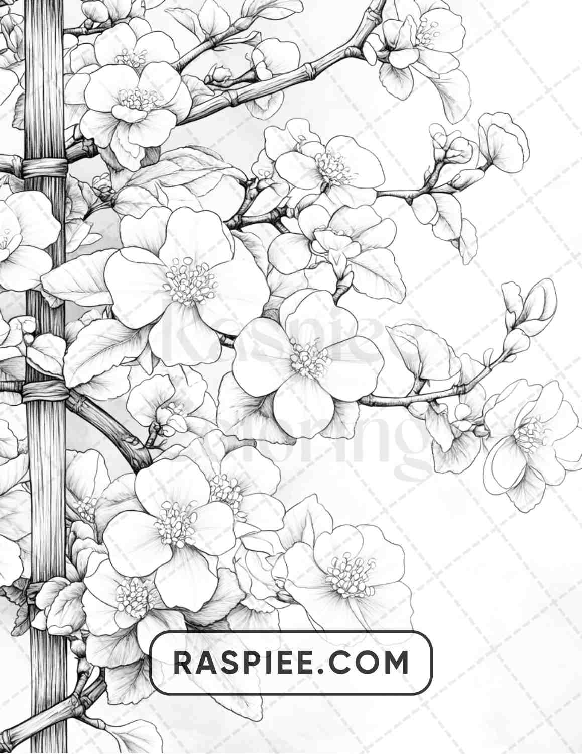 77 Winter Flowers Adult Coloring Pages