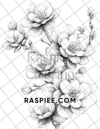 Succulent Blossoms Adult Coloring Pages Printable PDF Instant Download