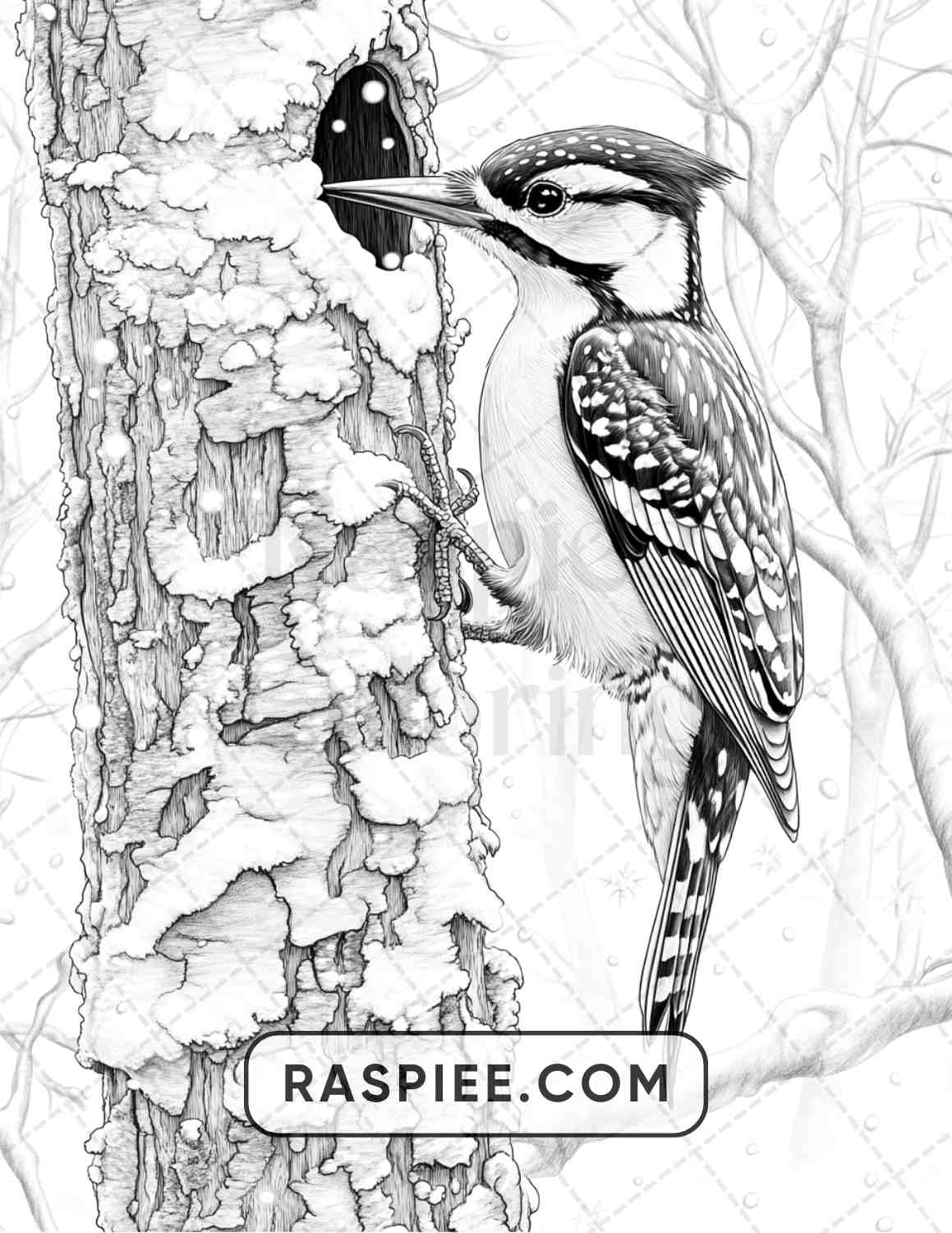 80 Winter Birds Adult Coloring Pages