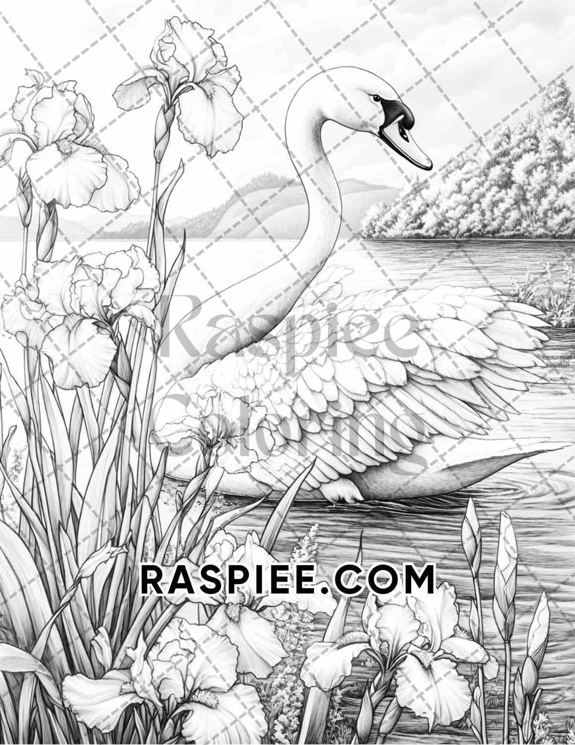 Flowers and Birds Adult Coloring Pages Printable PDF Instant Download - RASPIEE