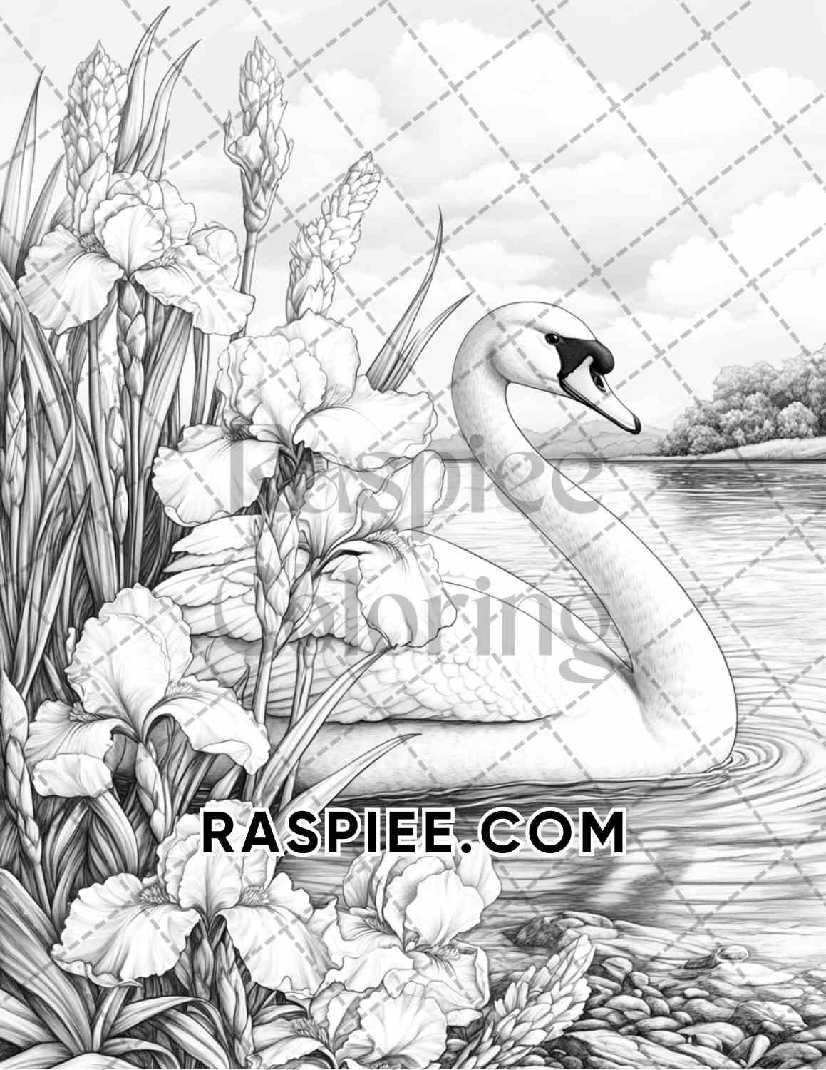 Flowers and Birds Adult Coloring Pages Printable PDF Instant Download - RASPIEE