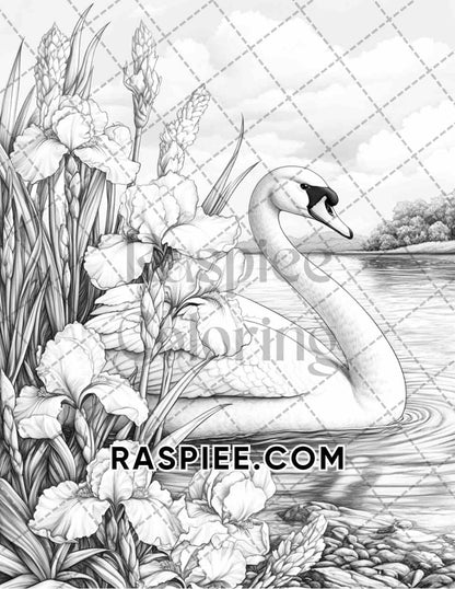 Flowers and Birds Adult Coloring Pages Printable PDF Instant Download - RASPIEE