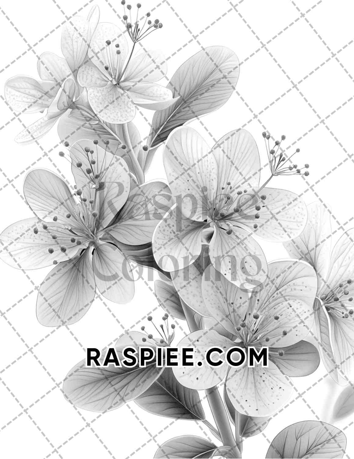 Succulent Blossoms Adult Coloring Pages Printable PDF Instant Download