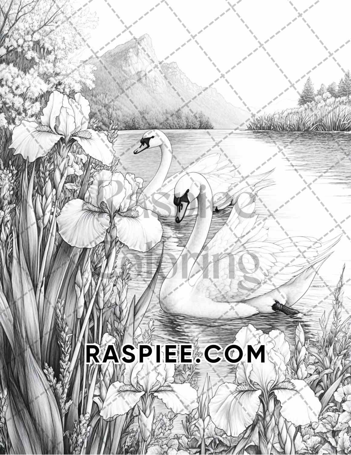 Flowers and Birds Adult Coloring Pages Printable PDF Instant Download - RASPIEE