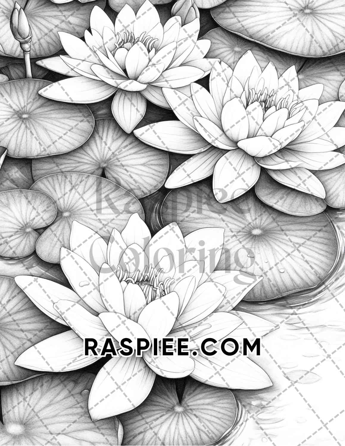 Seasonal Flowers Adult Coloring Pages Printable PDF Instant Download