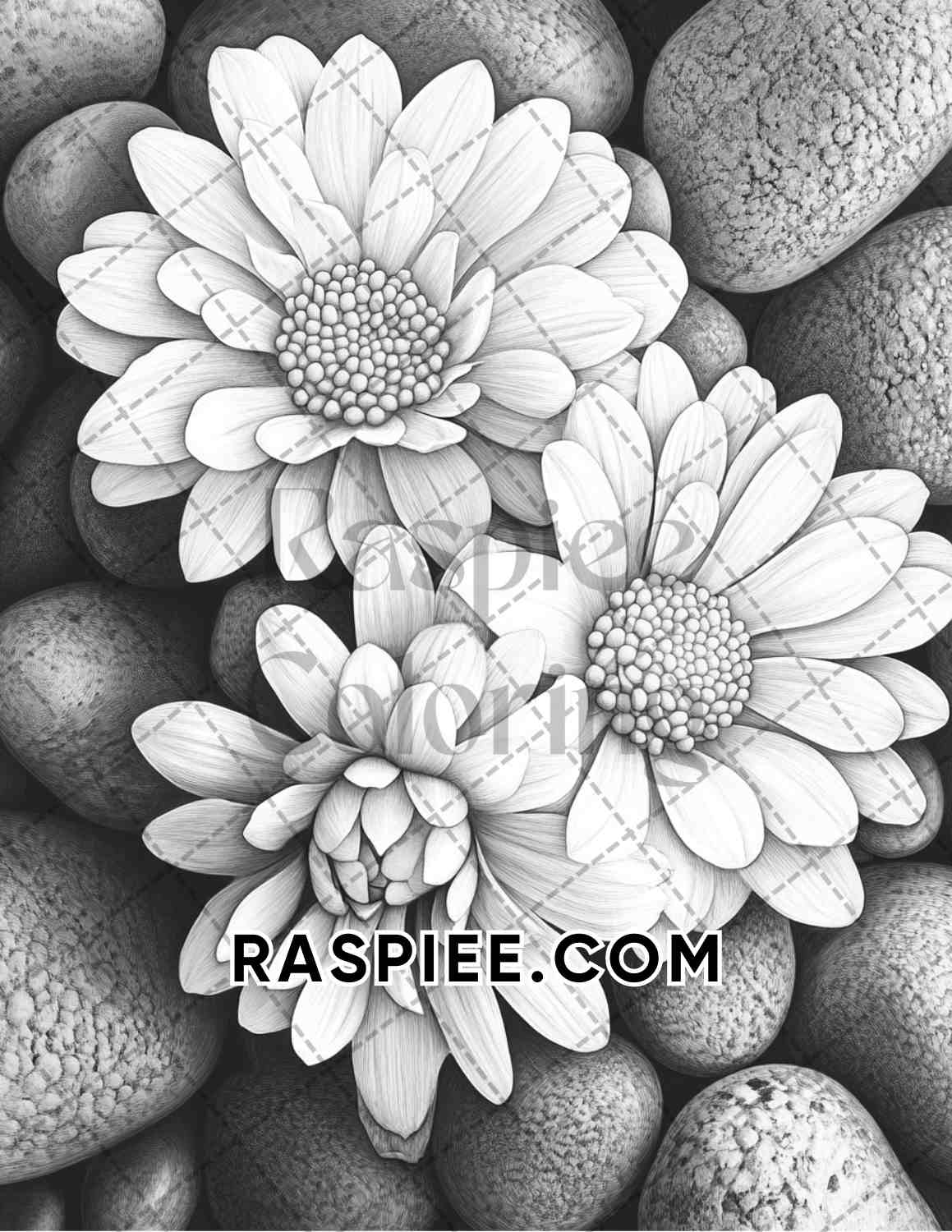 Succulent Blossoms Adult Coloring Pages Printable PDF Instant Download