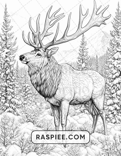 86 Winter Animals Adult Coloring Pages