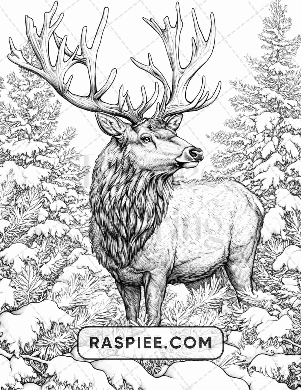 86 Winter Animals Adult Coloring Pages