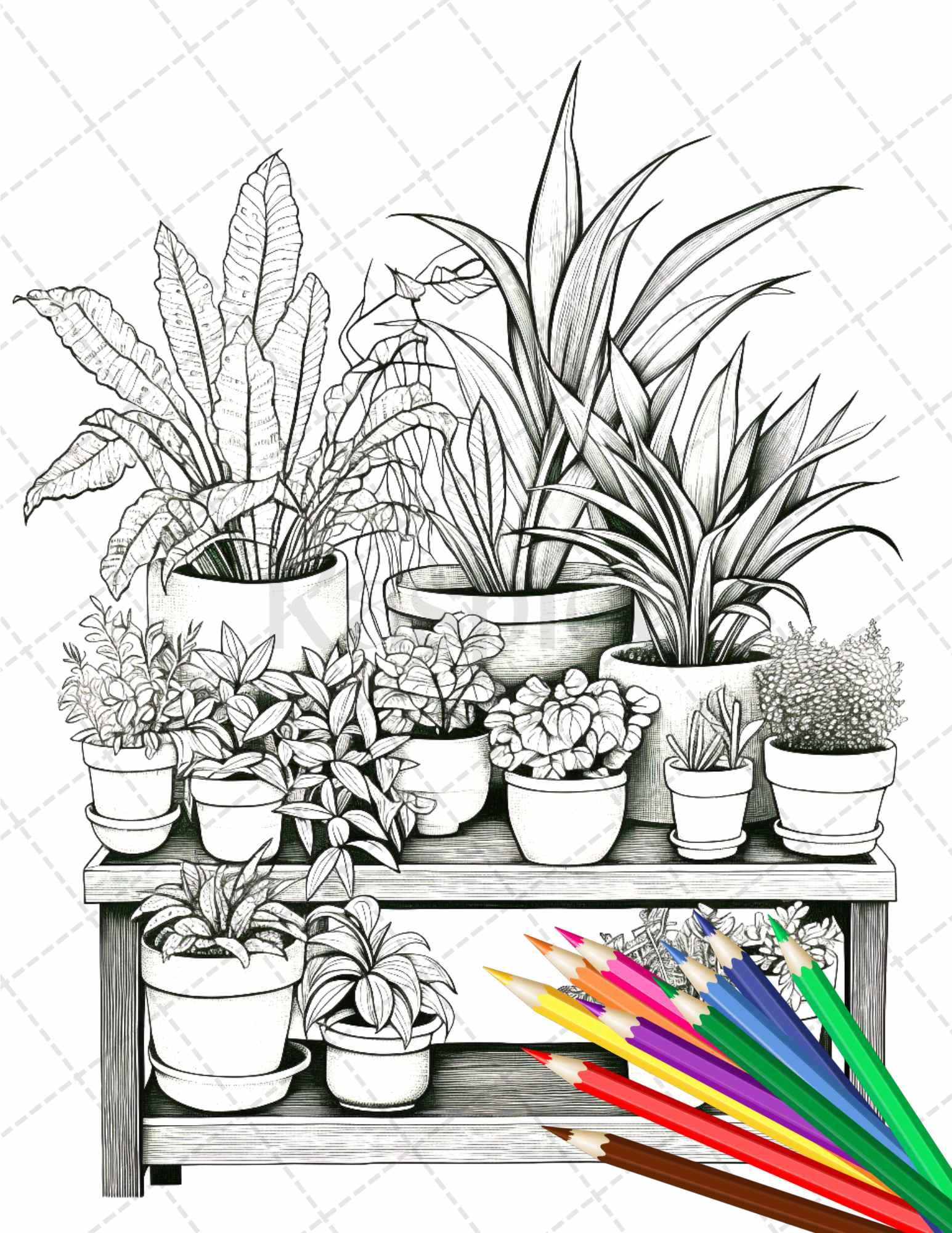 potted plant coloring page 38 Indoor Houseplants Coloring Pages Printable for Adults, Grayscale C – RASPIEE