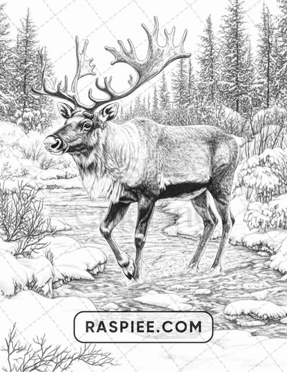 86 Winter Animals Adult Coloring Pages