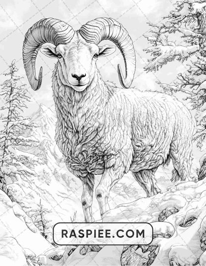 86 Winter Animals Adult Coloring Pages