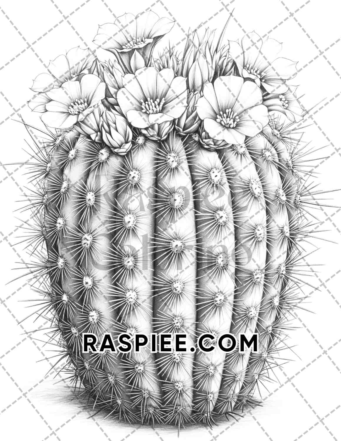 Succulent Blossoms Adult Coloring Pages Printable PDF Instant Download