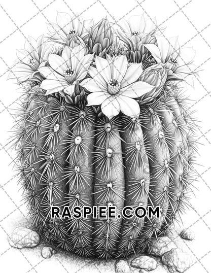 Succulent Blossoms Adult Coloring Pages Printable PDF Instant Download