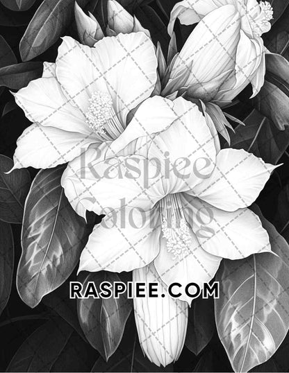 Succulent Blossoms Adult Coloring Pages Printable PDF Instant Download