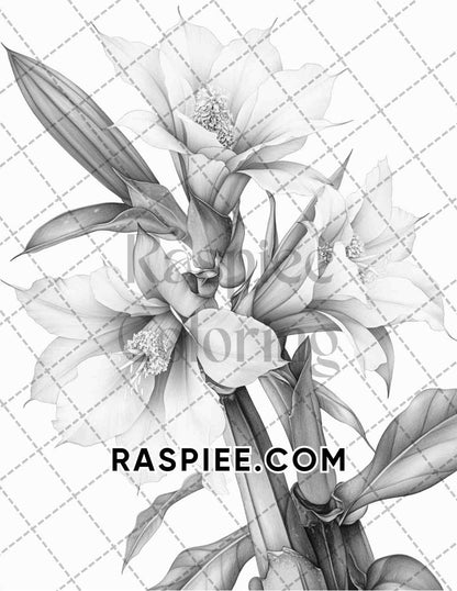 Succulent Blossoms Adult Coloring Pages Printable PDF Instant Download