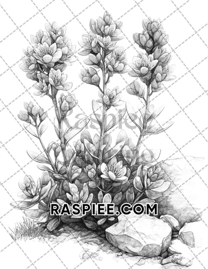 Succulent Blossoms Adult Coloring Pages Printable PDF Instant Download