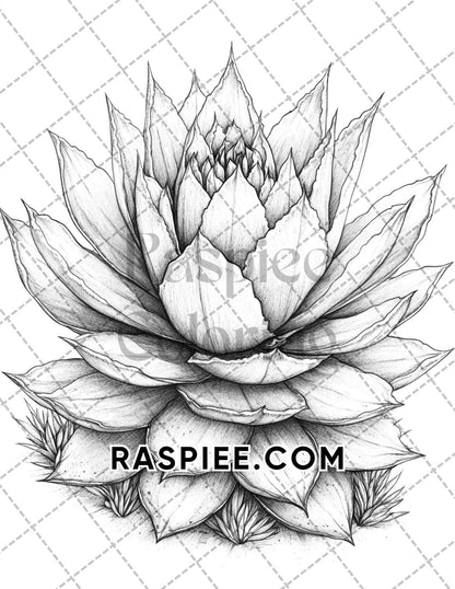 Succulent Blossoms Adult Coloring Pages Printable PDF Instant Download