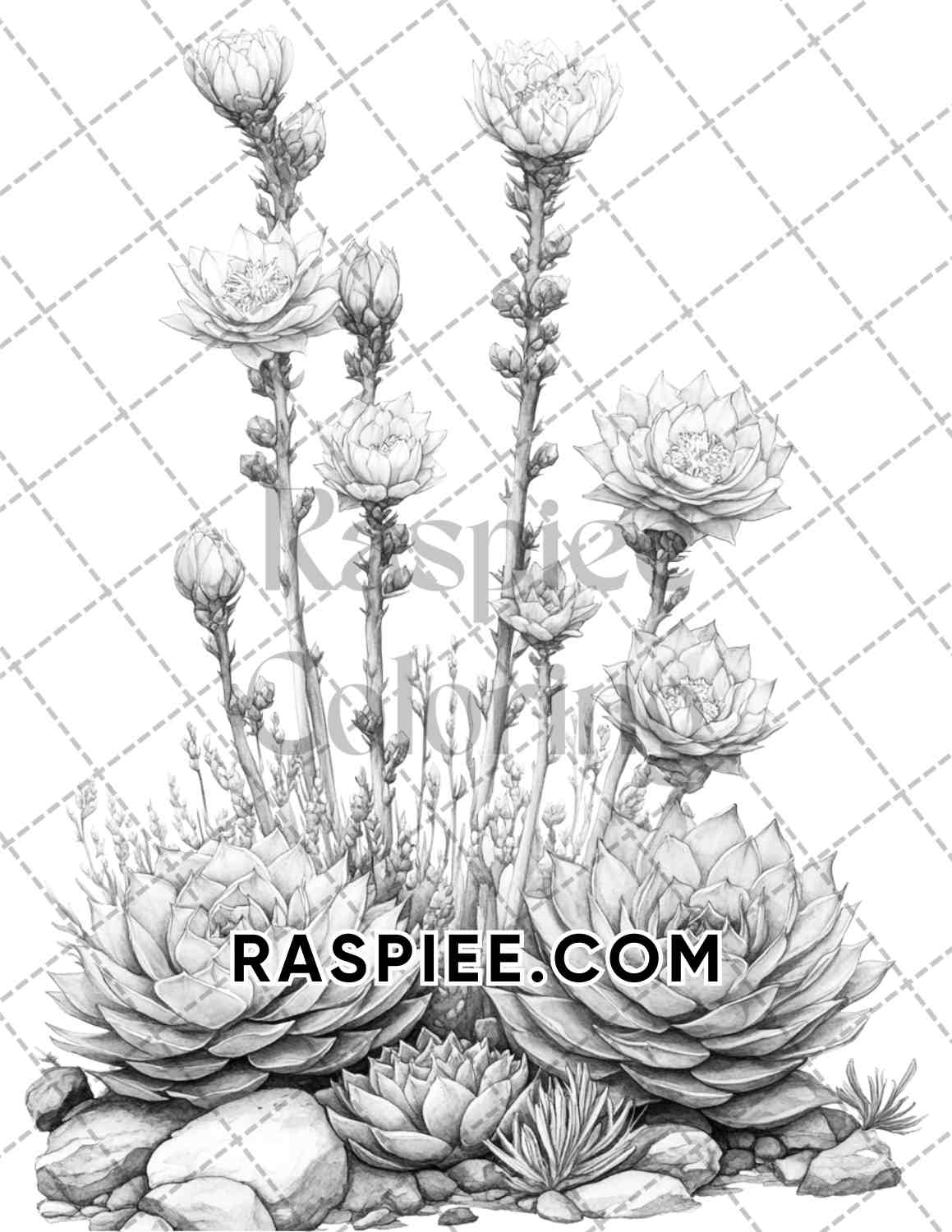 Succulent Blossoms Adult Coloring Pages Printable PDF Instant Download