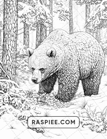 86 Winter Animals Adult Coloring Pages