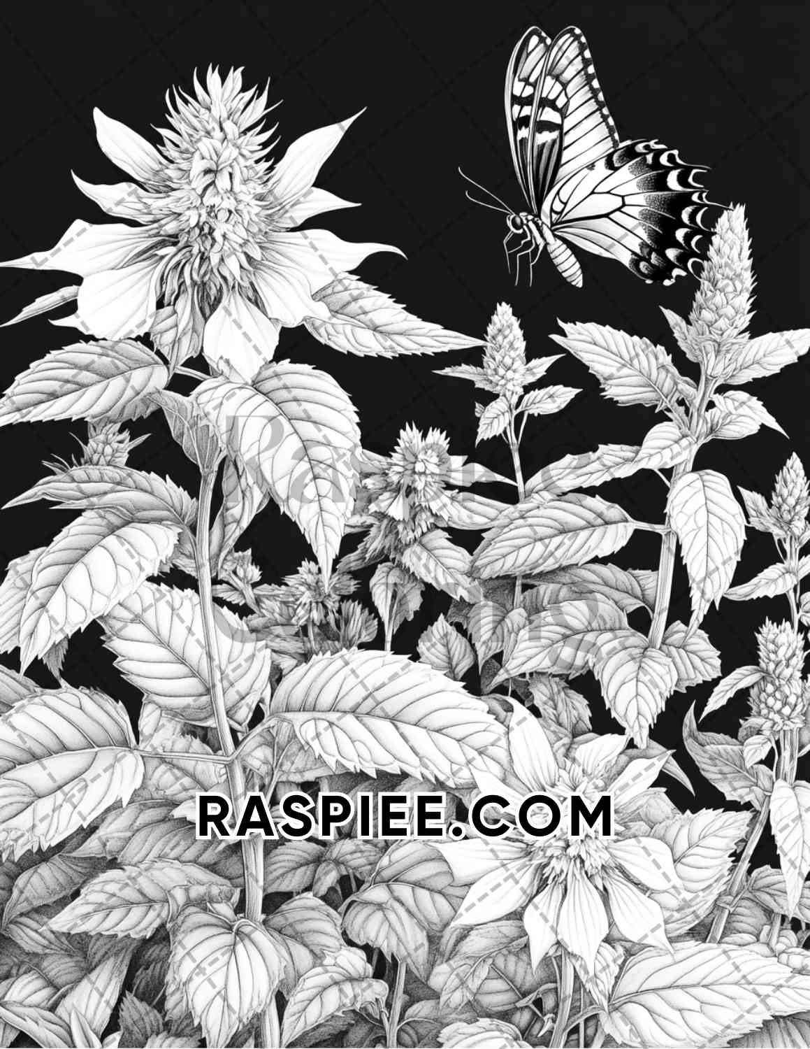 Seasonal Flowers Adult Coloring Pages Printable PDF Instant Download