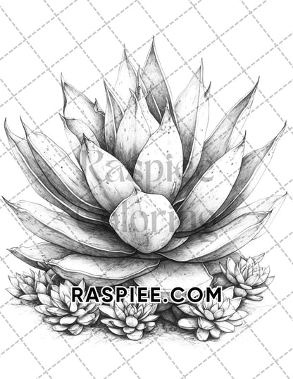 Succulent Blossoms Adult Coloring Pages Printable PDF Instant Download