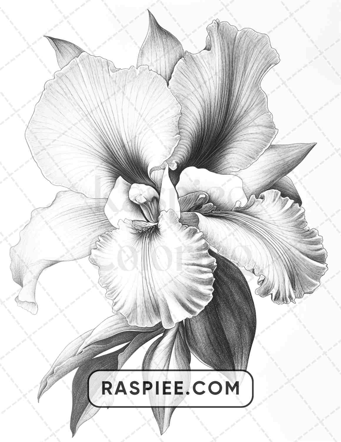 77 Flower Tattoos Adult Coloring Pages - RASPIEE