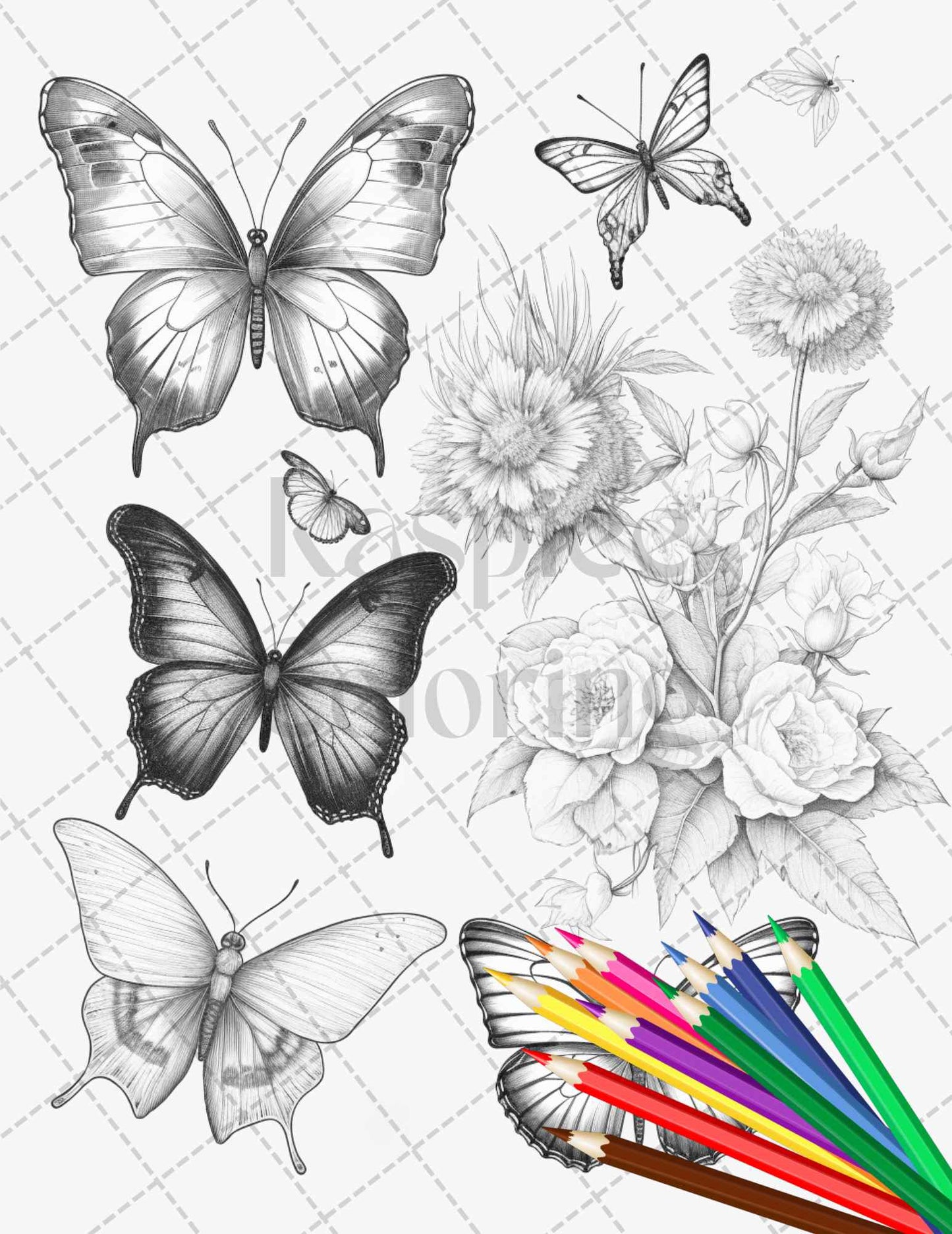 Vintage Botanical Butterfly Grayscale Coloring Pages Printable for Adults, PDF File Instant Download - raspiee