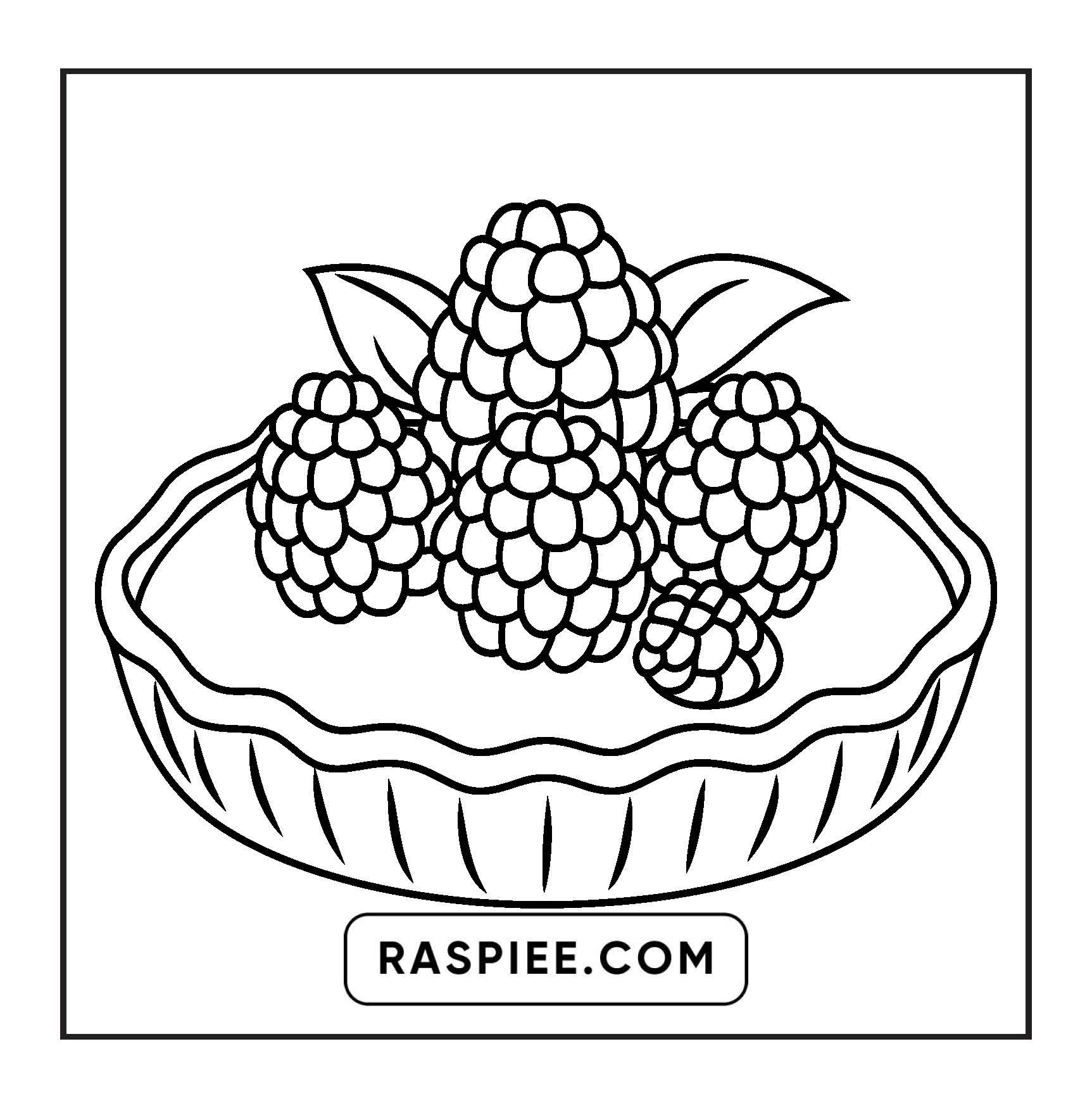 Raspberry Torte Coloring Pages Strawberry Shortcake Raspberry Torte